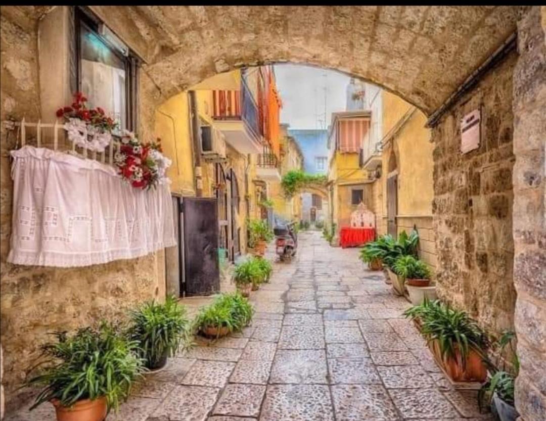Summer Paradise Bari Rum bild